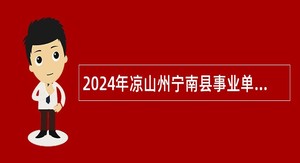2024年凉山州宁南县事业单位招聘考试公告（13人）
