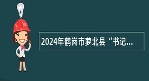 2024年鹤岗市萝北县“书记进校园”引才活动公告
