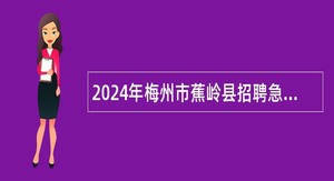 2024年梅州市蕉岭县招聘急需紧缺学科教师公告