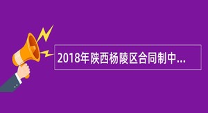 2018年陕西杨陵区合同制中小学幼儿教师招聘公告