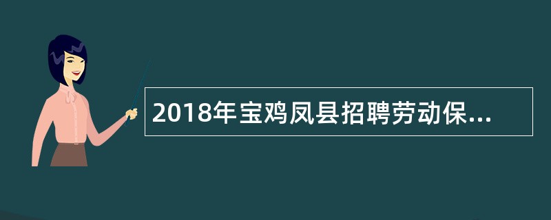 2018年宝鸡凤县招聘劳动保障协理员公告