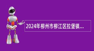 2024年柳州市柳江区拉堡镇事业单位直接考核入编招聘公告