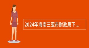 2024年海南三亚市财政局下属事业单位招聘编外人员公告（第一号）