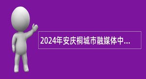 2024年安庆桐城市融媒体中心招聘主持人公告