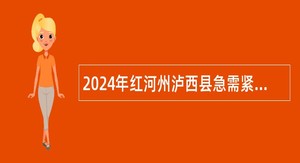 2024年红河州泸西县急需紧缺人才招聘公告