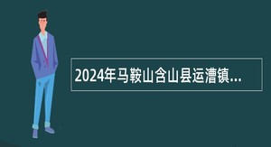 2024年马鞍山含山县运漕镇招聘公告