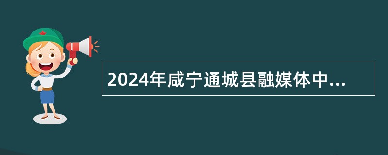 2024年咸宁通城县融媒体中心招聘公告