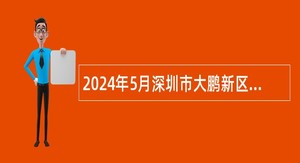 2024年5月深圳市大鹏新区南澳办事处招聘编外人员公告