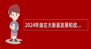 2024年崇左大新县发展和改革局招聘工作人员公告