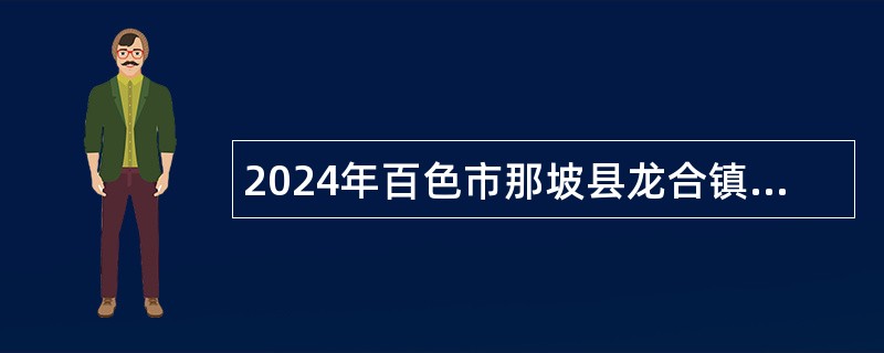 2024年百色市那坡县龙合镇村集体经济组织专职会计招聘公告