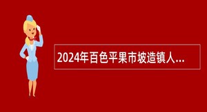 2024年百色平果市坡造镇人民政府招聘防贫监测信息员公告