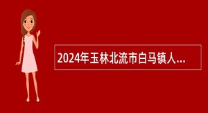2024年玉林北流市白马镇人民政府招聘网格信息管理员公告