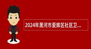 2024年黑河市爱辉区社区卫生服务中心招聘工作人员公告
