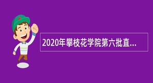 2020年攀枝花学院第六批直接考核招聘高层次人才公告