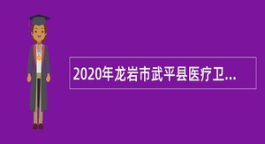 2020年龙岩市武平县医疗卫生事业单位招聘工作人员公告