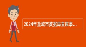 2024年盐城市数据局直属事业单位选调公告