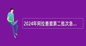 2024年阿拉善盟第二批次急需紧缺专业人才预约引进公告