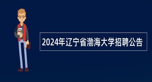 2024年辽宁省渤海大学招聘公告