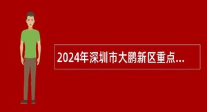2024年深圳市大鹏新区重点区域建设发展中心招聘编外人员公告