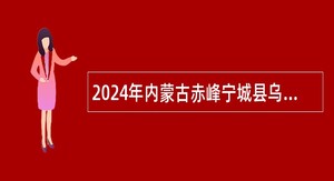 2024年内蒙古赤峰宁城县乌兰牧骑招聘工作人员公告