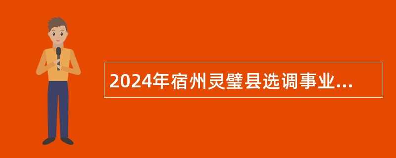 2024年宿州灵璧县选调事业单位公告