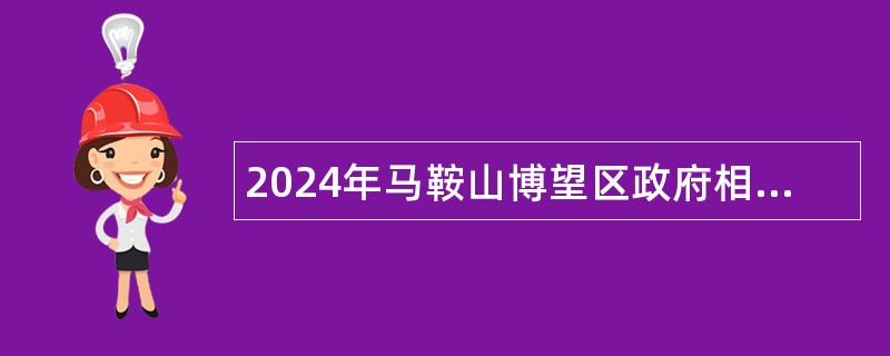 2024年马鞍山博望区政府相关部门招聘公告