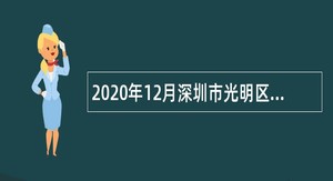 2020年12月深圳市光明区委统战部招聘一般类岗位专干公告