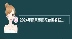 2024年南京市雨花台区数据局招聘编外人员简章