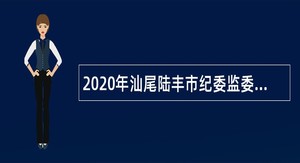 2020年汕尾陆丰市纪委监委招聘政府雇员公告