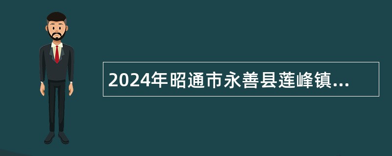 2024年昭通市永善县莲峰镇中心卫生院招聘公告