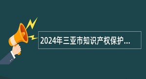 2024年三亚市知识产权保护中心招聘事业单位人员公告