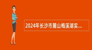 2024年长沙市麓山梅溪湖实验中学编外教师招聘公告