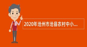 2020年沧州市沧县农村中小学幼儿园教师招聘公告