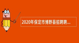 2020年保定市博野县招聘聘任制教师公告