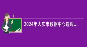 2024年大庆市数据中心选调工作人员公告