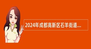 2024年成都高新区石羊街道公办幼儿园招聘编外人员公告（12名）