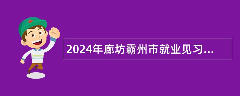 2024年廊坊霸州市就业见习生公告（683名）