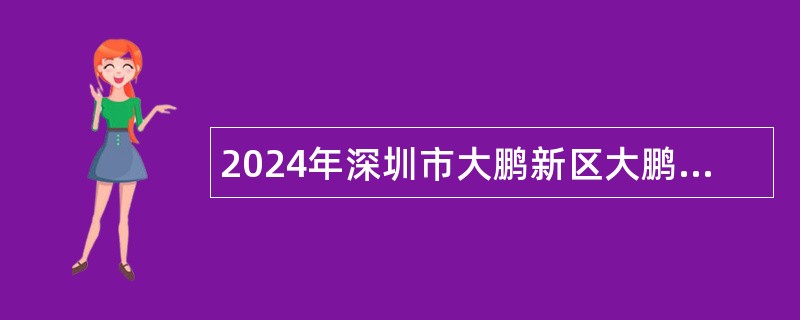 2024年深圳市大鹏新区大鹏办事处招聘编外人员公告