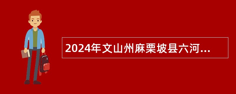 2024年文山州麻栗坡县六河乡卫生院招聘编外工作人员公告