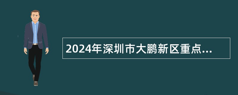 2024年深圳市大鹏新区重点区域建设发展中心招聘编外工作人员公告