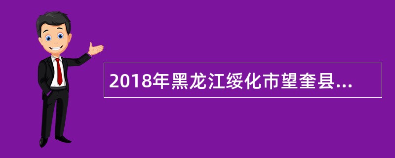 2018年黑龙江绥化市望奎县委办公室选调工作人员公告