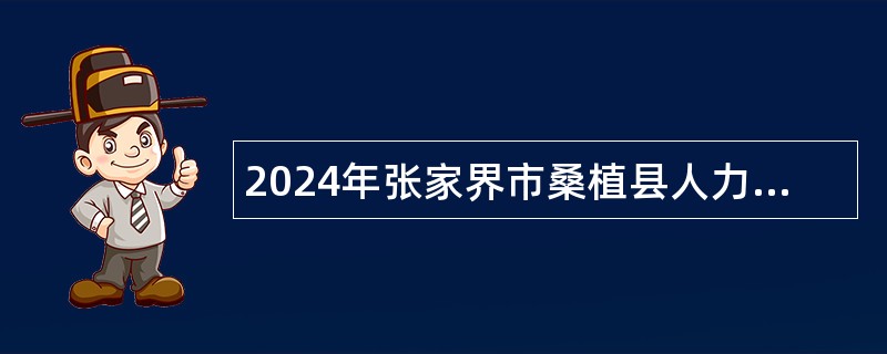 2024年张家界市桑植县人力资源和社会保障局招聘公益性岗位人员公告