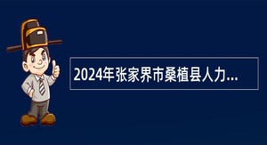 2024年张家界市桑植县人力资源和社会保障局招聘公益性岗位人员公告