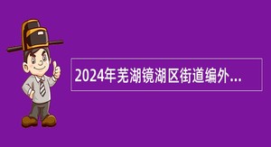 2024年芜湖镜湖区街道编外聘用人员招聘公告（63名）