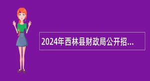 2024年西林县财政局公开招聘编外聘用工作人员公告（1人）