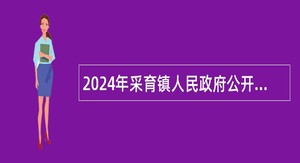 2024年采育镇人民政府公开招聘临时辅助工作人员的公告