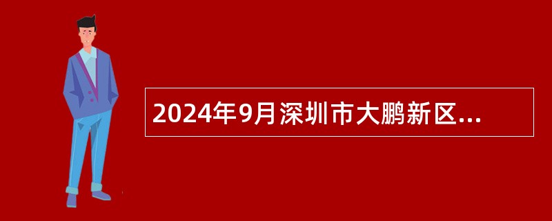 2024年9月深圳市大鹏新区城市管理和综合执法局公开招聘编外人员公告(2人）