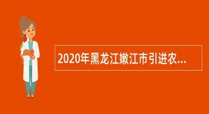 2020年黑龙江嫩江市引进农业农村局所属事业单位专业技术人才公告