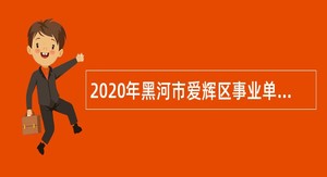 2020年黑河市爱辉区事业单位招聘考试公告（32人）