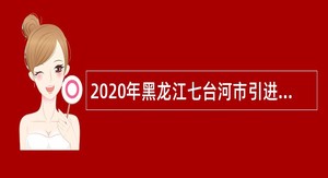 2020年黑龙江七台河市引进优秀人才公告